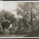 General cemetery view